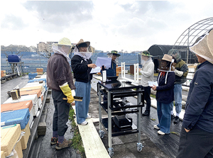 평택시, 인공지능 기반 꿀벌응애 검출 장치 현장 실증